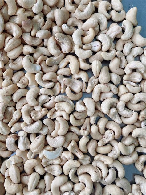 Cashew Nuts Vietnam Supplier Export Standard Cashew Kernel W320 W240