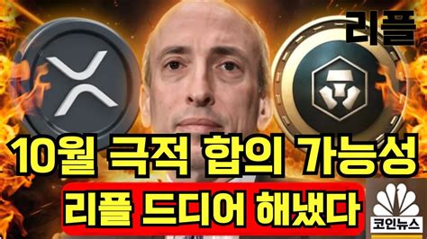 리플 Xrp 주말 저녁 속보 10월 Sec 리플 극적 합의 가능성 리플 드디어 해냈다 Youtube