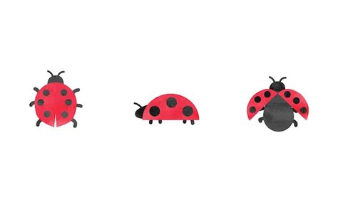 Premium Vector | Simple ladybug watercolor drawing. Ladybugs set vector ...