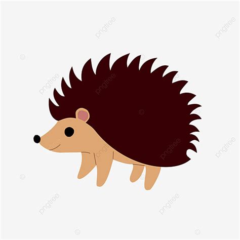 Porcupine Clipart PNG Images, Brown Porcupine Clip Art, Porcupine Clipart, Brown PNG Image For ...