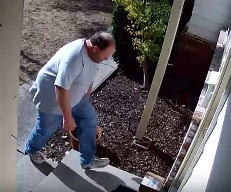 Postal Worker Caught Throwing Packages Into Ravine