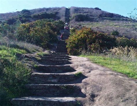 Culver city stairs hike – Artofit