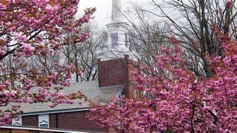 First Congregational Church In Chappaqua New York Easter Service Youtube