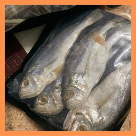 Ikan Masin Gelama Masam Gebu 300g Salted Fish Original Fresh Dari