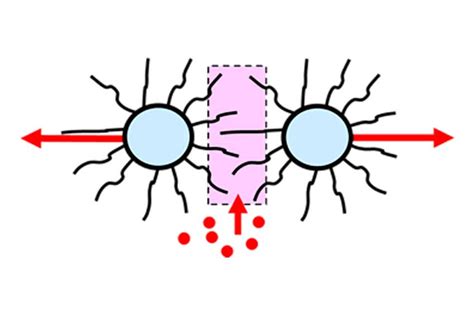dispersants  steric stabilization prospector knowledge center