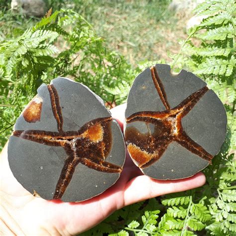 Russian Septarian 2 Halvescalcite Geodesseptarian Nodule 2 Halves