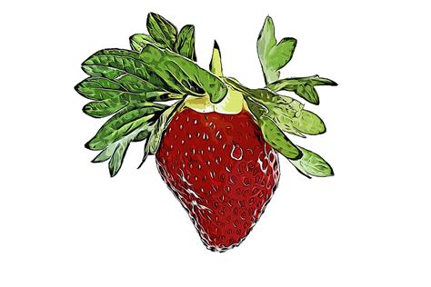 Watercolor Strawberry Drawing Graphic by oggstudiotr · Creative Fabrica