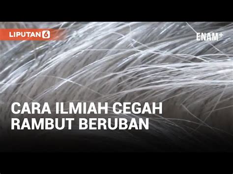 Temukan Manfaat Minyak Zaitun Untuk Rambut Beruban Yang Jarang