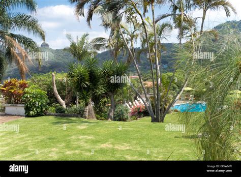 Swimming pool in a tourist resort, Mexico City, Mexico Stock Photo - Alamy