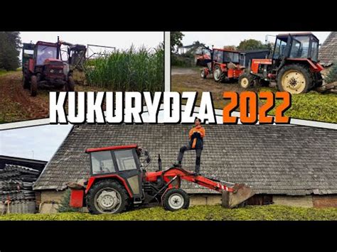 Kiszonka Z Kukurydzy Wtopa Mtz Jedyne Takie Akcje U Agro