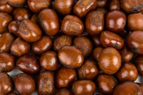 photo chestnut background