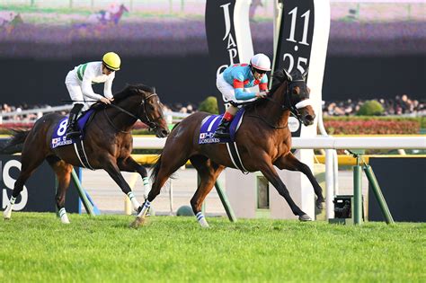 第39回 ジャパンカップ 過去10年の傾向データ｜gⅠ特集｜競馬予想・競馬情報ならjra Van