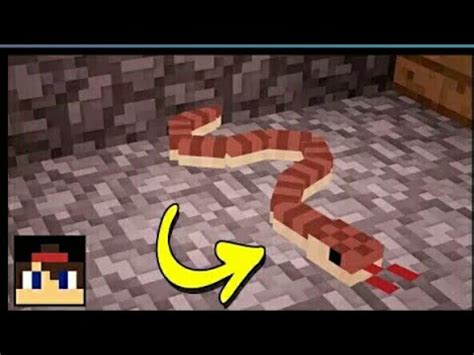 How To Make A Snake In Minecraft YouTube