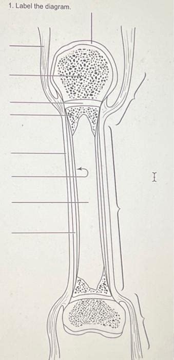 Solved 1 Label The Diagram