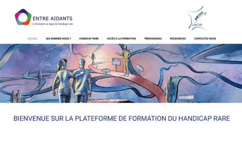 Entre Aidants Plateforme De Formation Au Handicap Rare