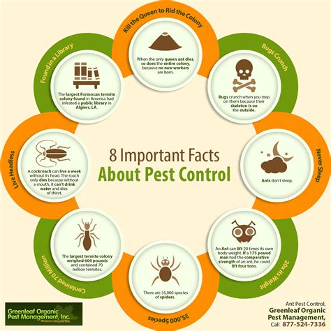 8 Important Facts About Pest Control Shared Info Graphics