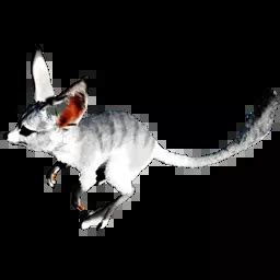 Ark Jerboa Spawn Command | Tamed And Wild