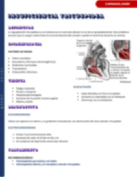 SOLUTION Resumen Valvula Tricuspide Estenosis E Insuficiencia Studypool