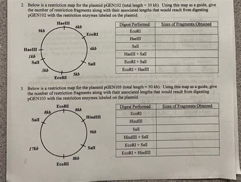 Solved Below Is A Restriction Map For The Plasmid Pgen Chegg