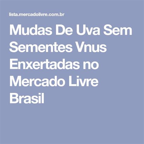 Mudas De Uva Sem Sementes Vnus Enxertadas No Mercado Livre Brasil