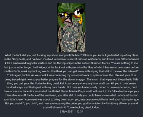 #navy seal copypasta on Tumblr