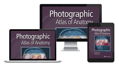 Photographic Atlas Of Anatomy Wolters Kluwer