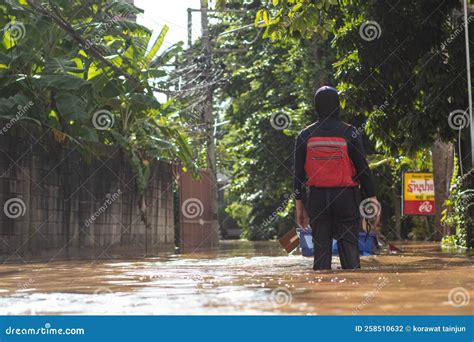 Chiang Mai Thai October Pictures Of The Suffering Of Flood