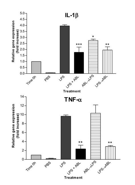 Mrna Expression Level Of Genes For Il 1β Tnf α After Treatment With