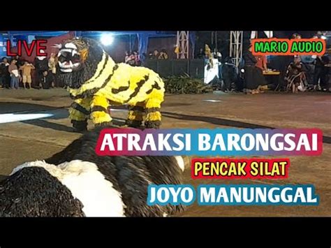 Terbaru Atraksi Barongsai Guling Guling Duri Salak Pencak Silat