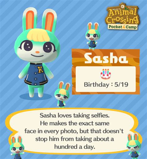 Sashas Gender And New Villager Personalities Confirmed By Animal