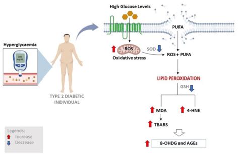 Antioxidants Free Full Text Detrimental Effects Of Lipid