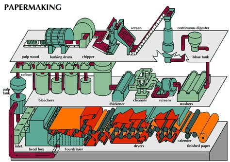 Supplychain Pictures: Pulp and Paper Process / Paper Manufacturing Process