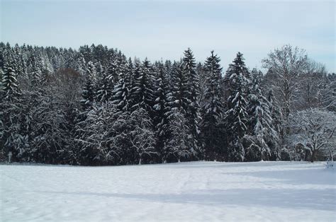 5 Austria-Winter-Backgrounds-2 - Poser - ShareCG