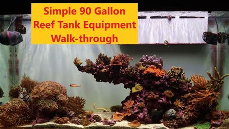 Simple 90 Gallon Reef Tank Equipment Walk Through YouTube