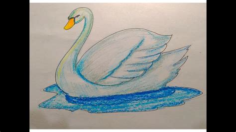 How To Draw A Swan With Oil Pastel For Kids Youtube