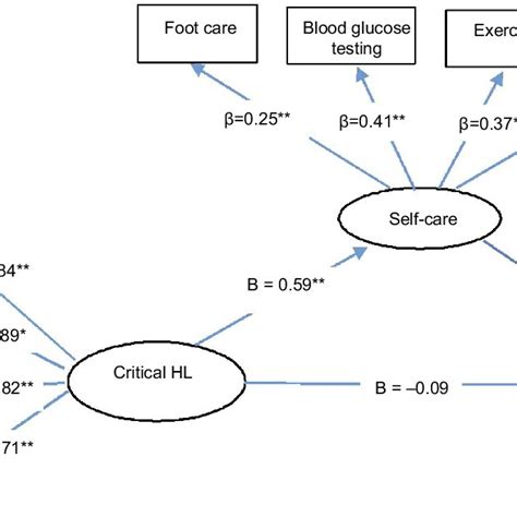 The Relationship Between Health Literacy And Self Efficacy And Their Download Scientific