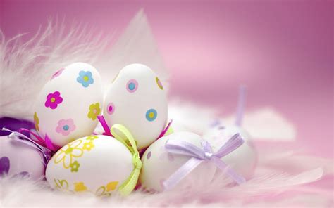 Cute Egg Wallpapers Top Free Cute Egg Backgrounds Wallpaperaccess