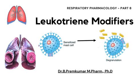 Leukotriene Modifiers Respiratory Pharmacology Part Youtube