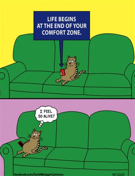 Funny Cat Cartoons | Fun