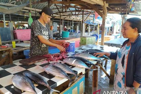 Harga Ikan Laut Di Kupang Naik 20 Persen