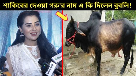 ব্রেকিং লাখ টাকার গরু কিনে বুবলির বাড়িতে পাঠালেন শাকিব খান~শাকিবের