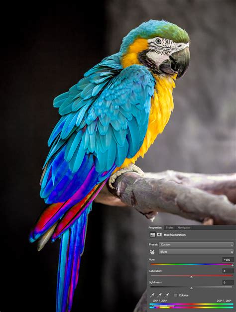 How to Adjust Specific Colors with Hue & Saturation Adjustment Layers in Photoshop | Design Panoply