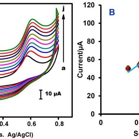 A Cyclic Voltammograms Of Gonrspce In Phosphate Buffer Ph 7 Download Scientific Diagram