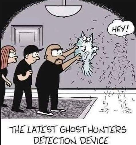 instagram funny cats funny cartoons cat jokes