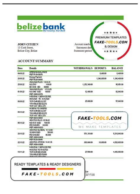 Belize Bank Statement Template In Excel And Pdf Format Fully Editable