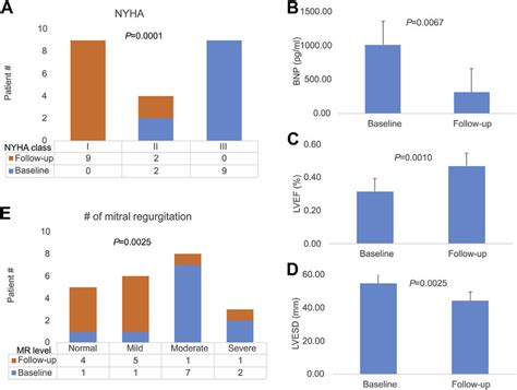 Clinical And Echocardiographic Assessments At Baseline And During