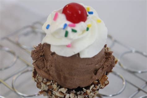 Chocolate Ice Cream - Our Fantastic Recipes our fantastic recipes home ...