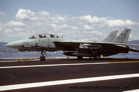 The Aviation Photo Company F 14 Tomcat Grumman US Navy VF 103