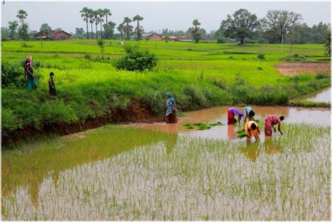 How The Bhil Tribe Is Moving From Starvation To Progress Through ...