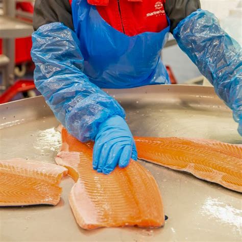 Salmon Farming Industry in BC: farmed and prosperous - Sea West News